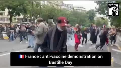 Police Violently Respond to Anti Vaccine/Vaccine Passport Protesters in France