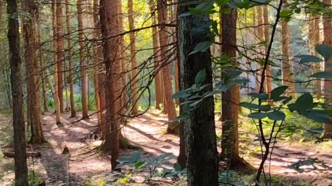 Just a "famous" woman on a nature walk. Enjoy the views!