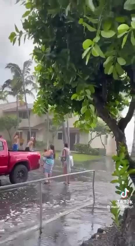 Huge Waves in Hawaii!