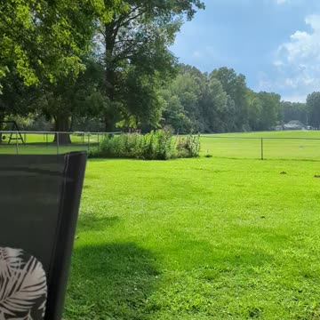 Only Raining In The Garden