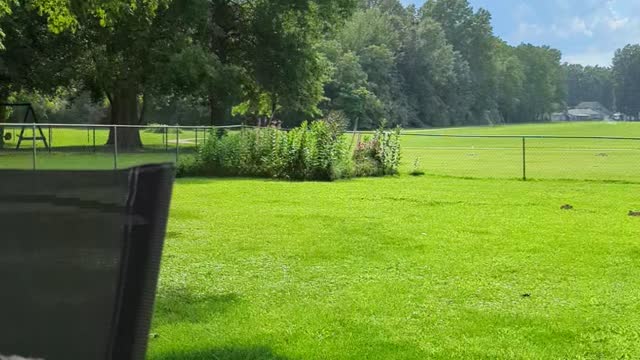 Only Raining In The Garden