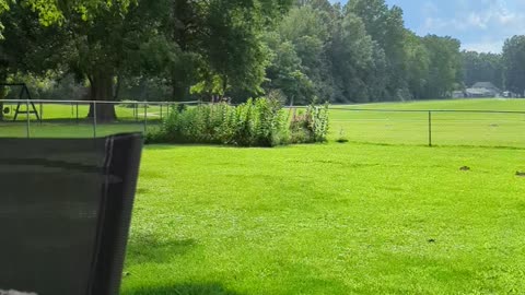 Only Raining In The Garden