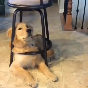 If i fit, I sit😉😉