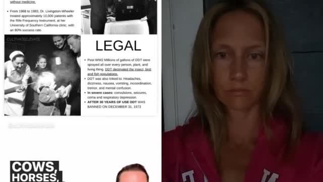 1950 Legal and Illegal items (1 minute)