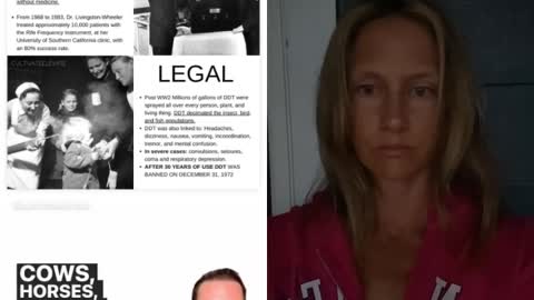 1950 Legal and Illegal items (1 minute)