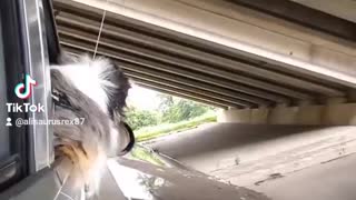 Going on a shopping trip