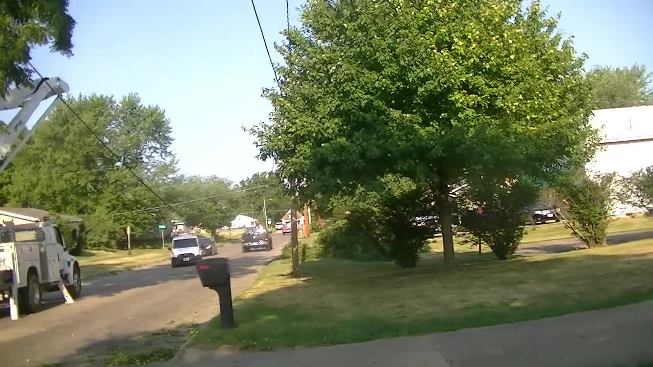 WALNUT TREE TRIMMED BY CITY