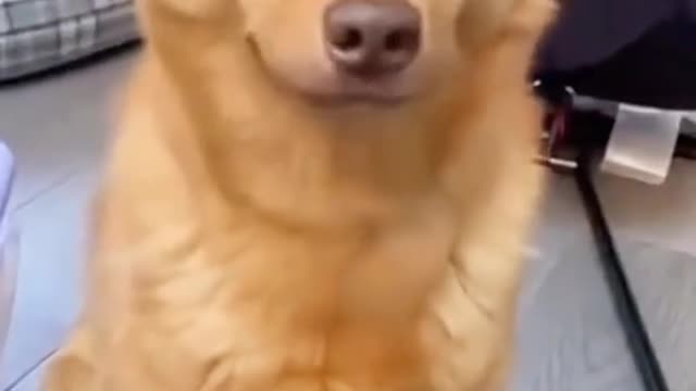 What bad idea are you thinking of