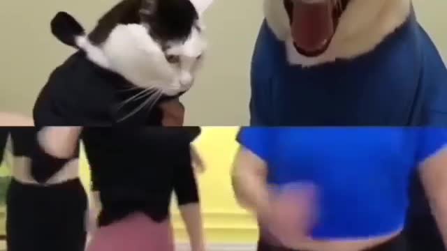 Funny REACTION #40 - Funny dog and cat's editing video