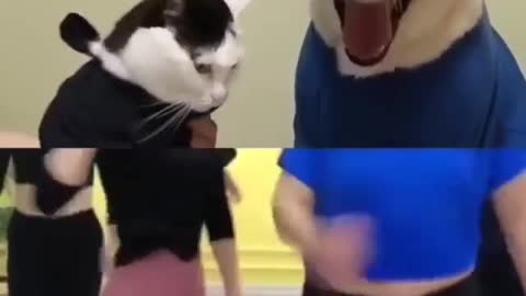 Funny REACTION #40 - Funny dog and cat's editing video