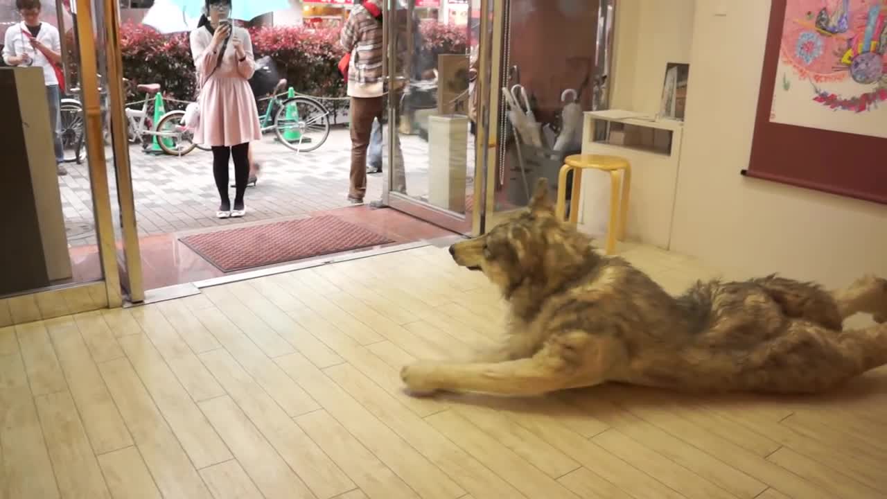 Realistic Wolf suit