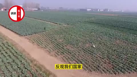 Modrn farming in Japan