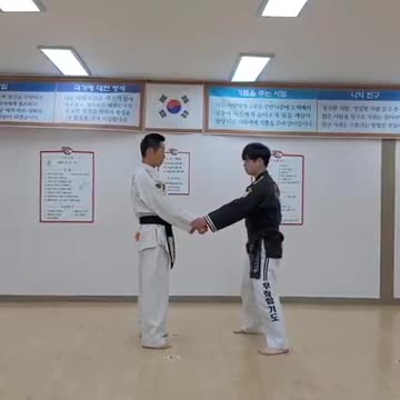 Hapkido