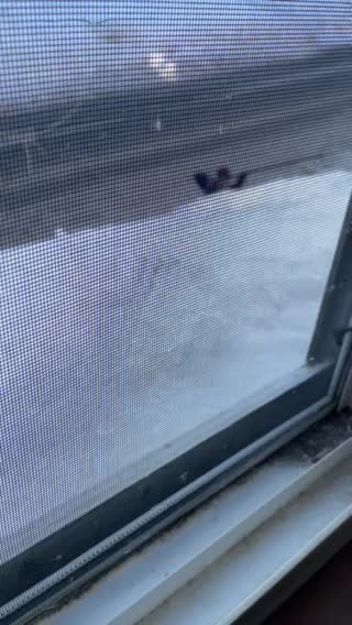 Renting. Makes sense.