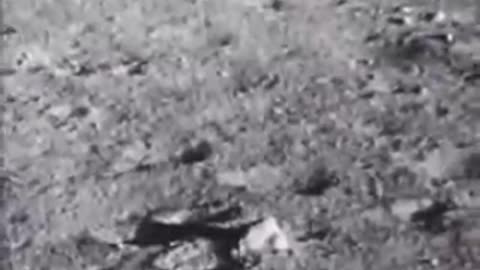 Neil Armistrong Moon Landing
