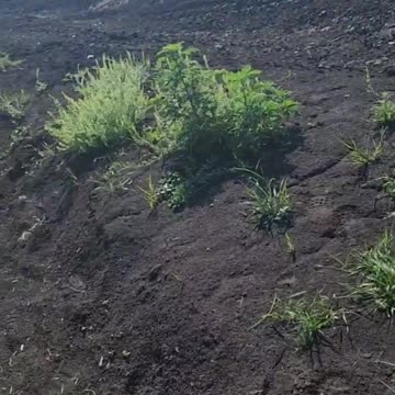 I'm so tired of constantly blaming the Germans! The Ukrainian drone attacked