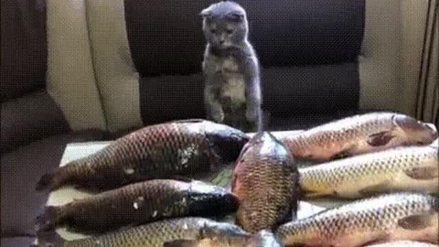 It's all for me?