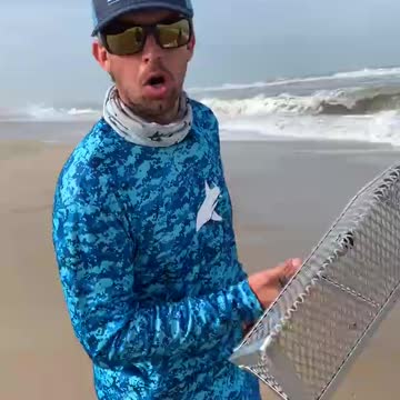 Catching Jumbo Sand Fleas - Cute Wild Animals