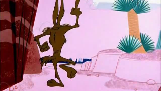 Wile E. Coyote And Road Runner episode 8