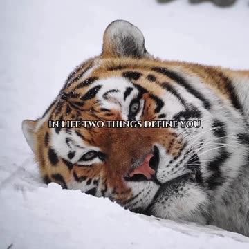 Change your financial future now