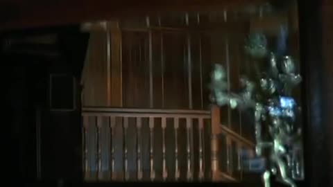 DON'T Go In The House (1980)