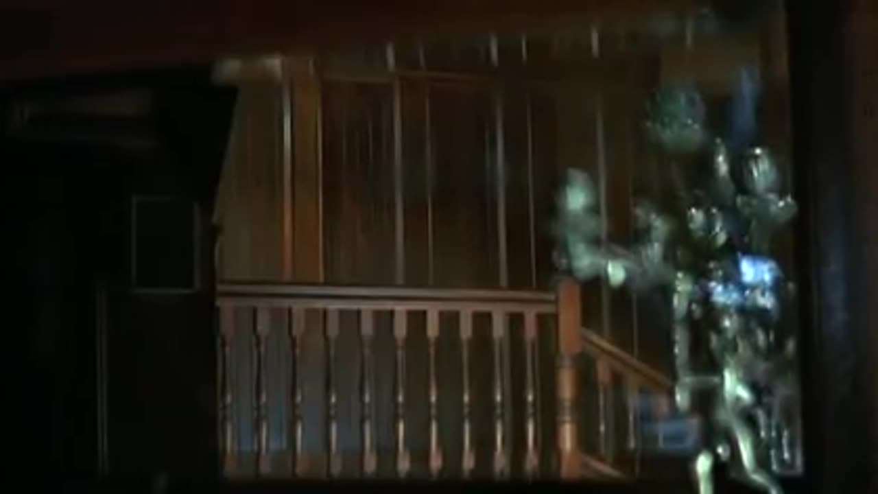 DON'T Go In The House (1980)