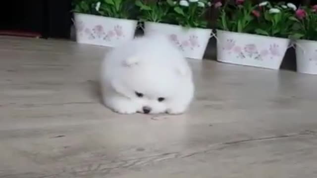 Please hug