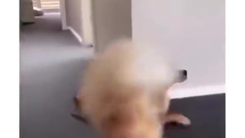 When the itch comes back