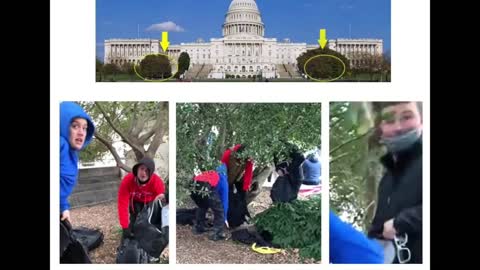 CNN Jade Sacker & BLM Sullivan Reveal Who Invaded the Capitol