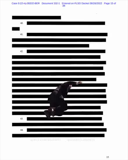 Biden Falling up redacted FBI document