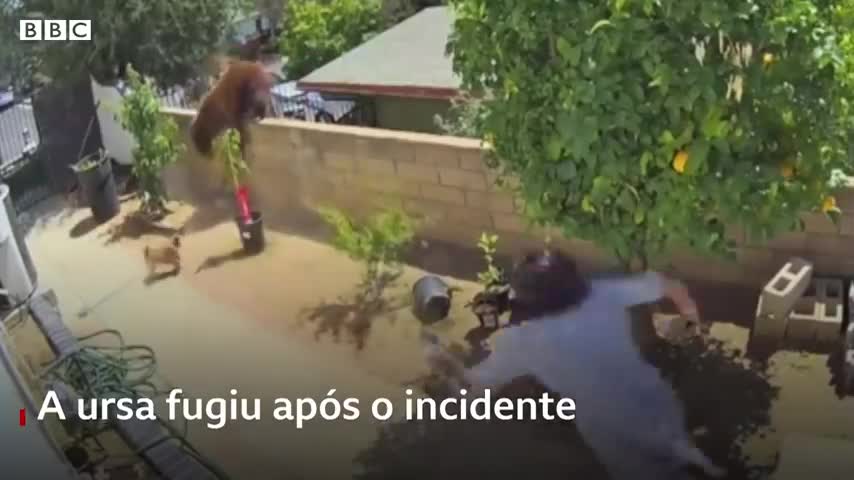 Girl saves her ferocious bear dogs!