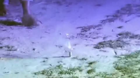 Diwali celebrated with heavy patakha # viral #trending #diwali