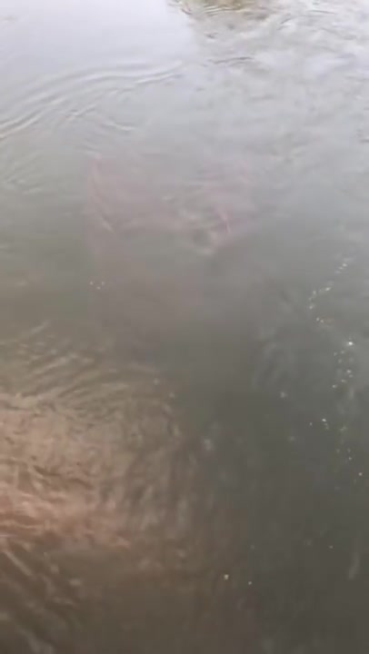 Best Fishing Video 🐟 Amazing Fishing 🔴 ;-0