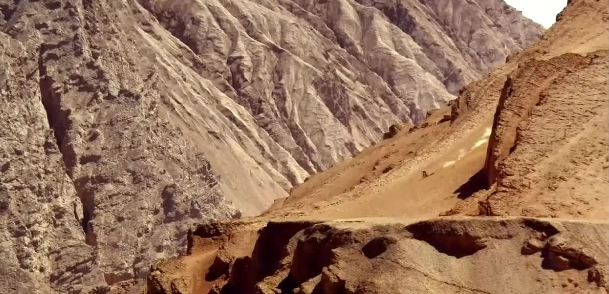 Under the yellow sand athletes