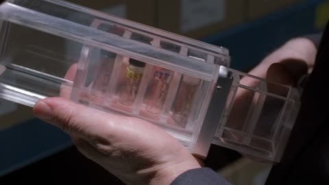 THE X FILES... EPISODE 1