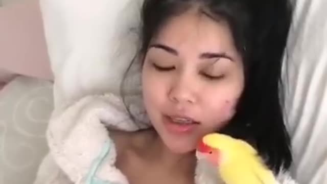 Funny Parrot Talking Videos On TikTok ~ CUTE Birds Doing Funny Things