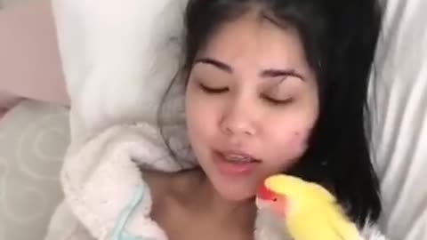 Funny Parrot Talking Videos On TikTok ~ CUTE Birds Doing Funny Things