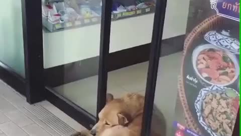 When you don’t even care