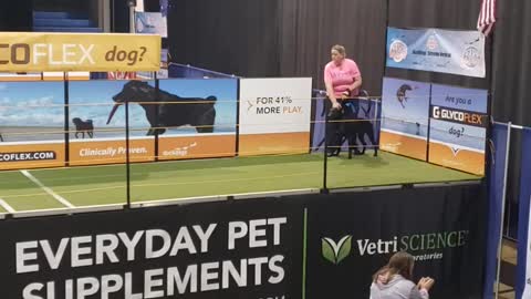 Team Riff Raff 2019 Dockdogs world Championships