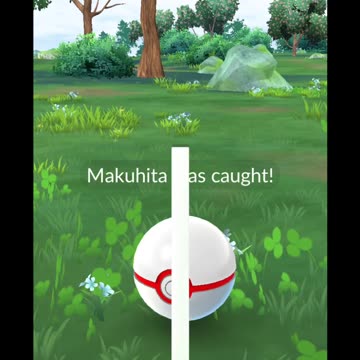 Pokémon GO-Shadow Makuhita