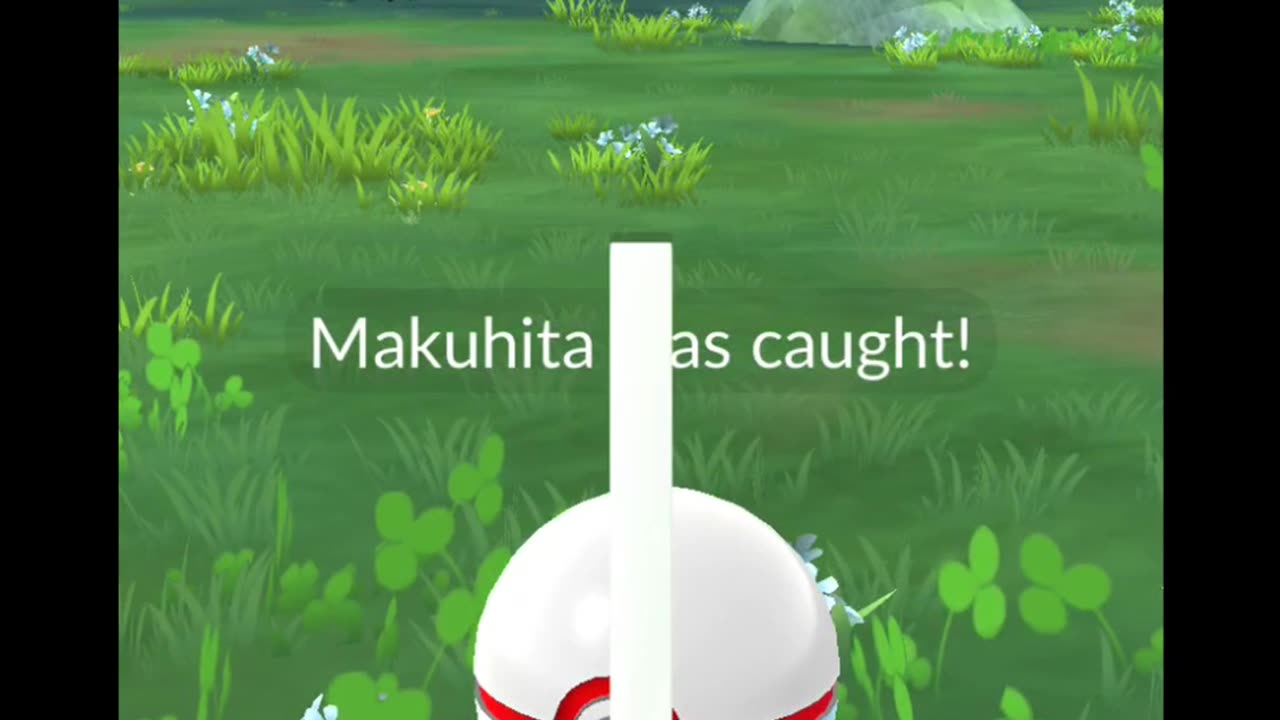Pokémon GO-Shadow Makuhita