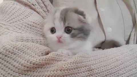 tell me if you've seen something cuter
