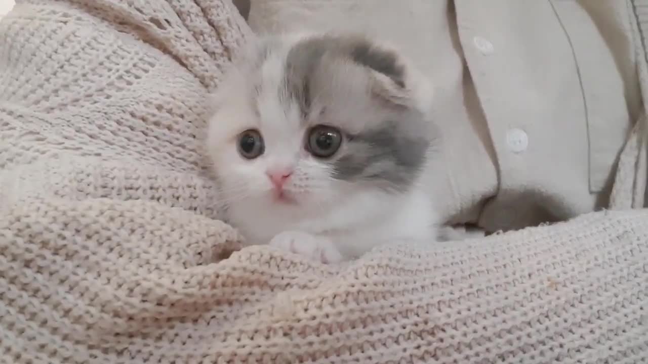tell me if you've seen something cuter
