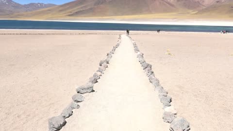 las lagunas Miscanti y Miniques at Atacama in Chile