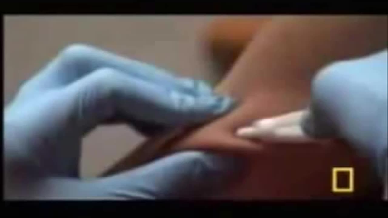 ~Gang Stalking Precursor~