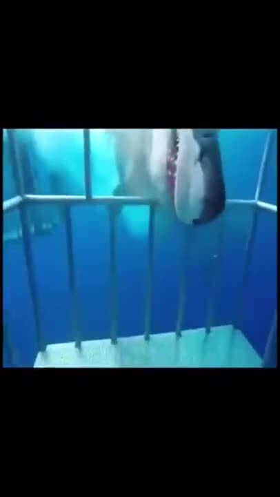 wow, that was close 😱😱😱