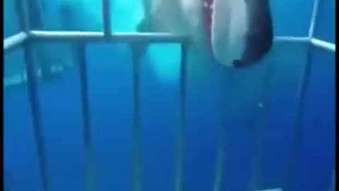 wow, that was close 😱😱😱