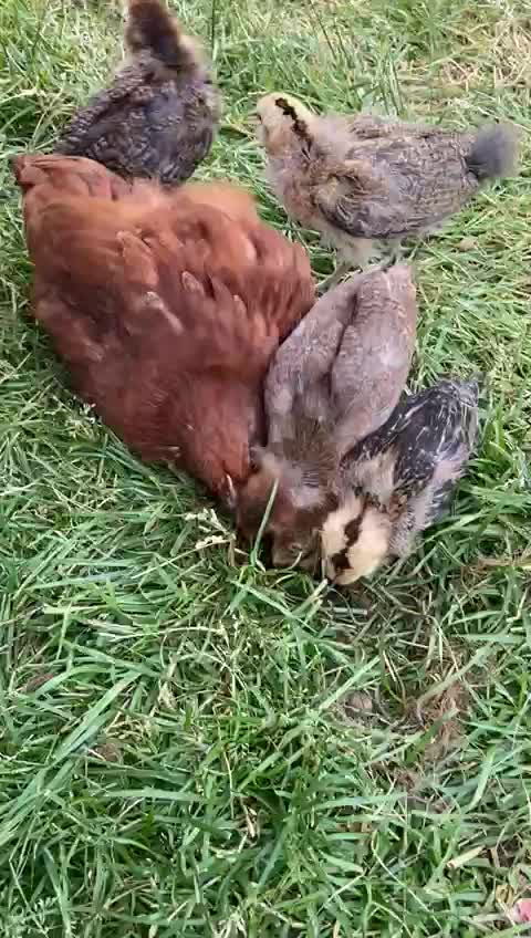 Fighting for the Same Spot... AGAIN