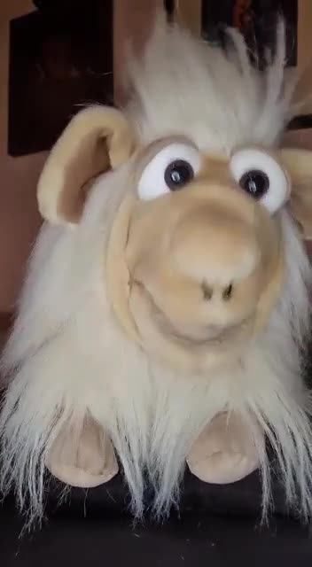 Für alle 🐑🐑🐑da draußen