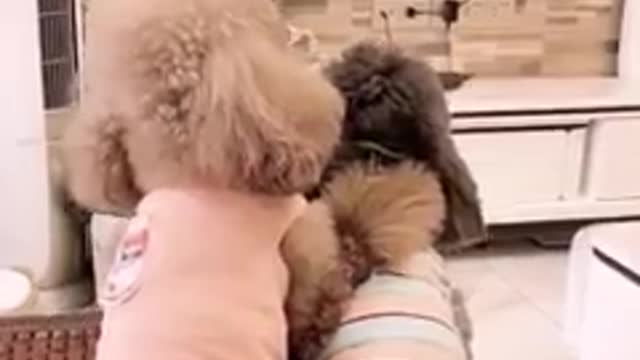 Wairt for and 😂🤣😂